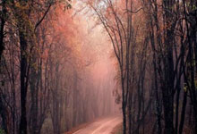 赏金船长官方网站:22/23賽季歐冠8強抽簽結果:皇馬遇藍軍 曼城硬撼拜仁 意甲三雄齊聚同一半區!.