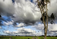 阿紮爾傷愈復出表現低迷 或難以回到巔峰狀態.